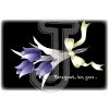 Tulip
Please click to see image details