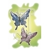 Butterfly
Please click to see image details