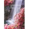 Azalea
Please click to see image details