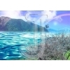 Cherry blossoms
Please click to see image details