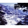 Snow scene
Please click to see image details