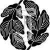 Leaf of KAJI
Please click to see image details