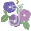 Morning glory
Please click to see image details