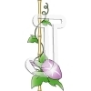 Morning glory
Please click to see image details