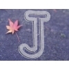 Japanease maple leaf
Please click to see image details
