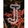 Autumn Leaves
Please click to see image details