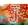 Autumn Leaves
Please click to see image details