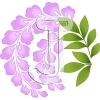 Wisteria
Please click to see image details