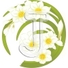 Narcissus
Please click to see image details