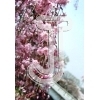Cherry Blossom
Please click to see image details