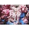 Cherry Blossom
Please click to see image details