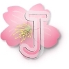 Cherry Blossom
Please click to see image details