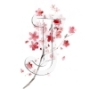 Cherry Blossom
Please click to see image details
