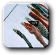 Carp streamers