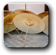 Japanese umbrellas