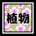 �A����l